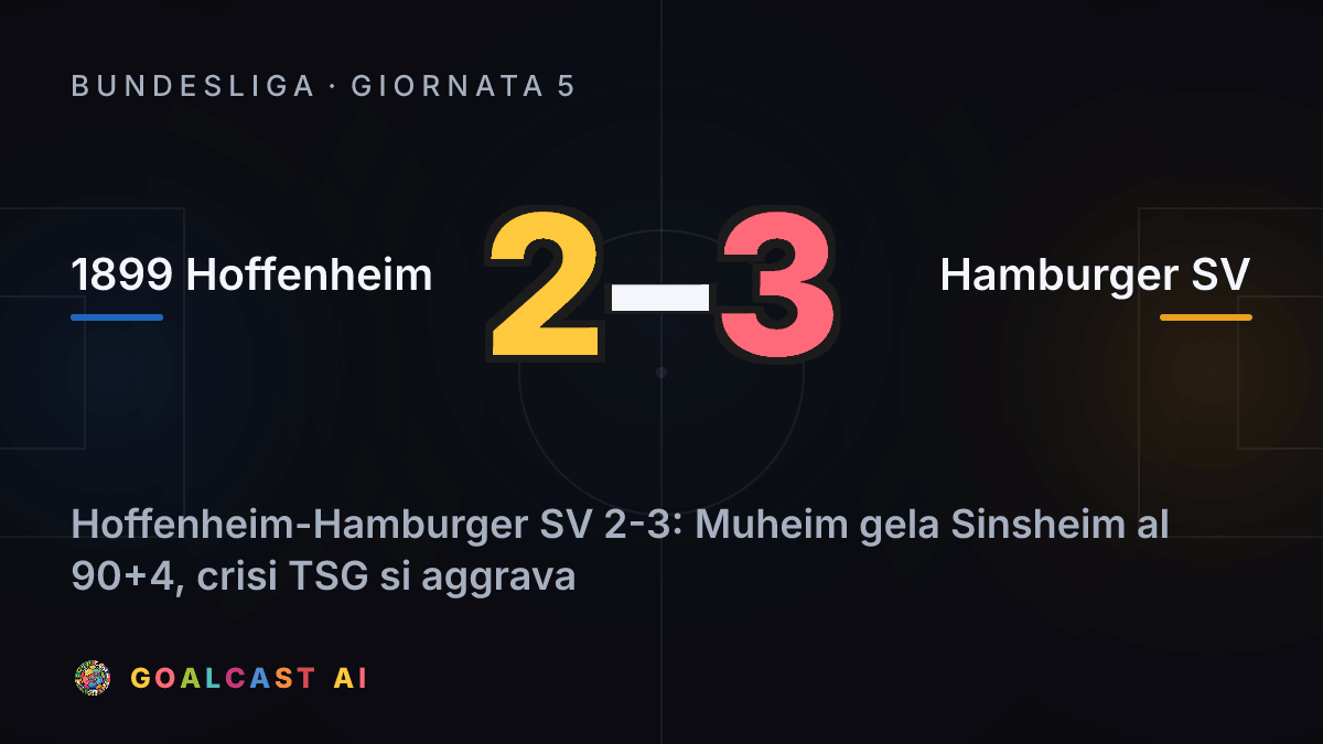 1899 Hoffenheim 2-3 Hamburger SV